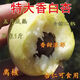 嫁接香白杏樹(shù)苗大白杏甜杏樹(shù)活苗南方北方庭院種植盆栽地栽果樹(shù)苗 2年苗【小苗】1顆 香白杏