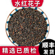 澤信堂 水紅花子  水葒子 葒草實 水紅花籽中藥材 500克 500g