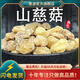 墨源山慈菇中藥材新鮮山慈姑山茨菇毛慈菇慈姑非野生山茨菇可打粉干貨 山慈菇500克【選大?！? title=