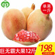 巨無霸大果 單果約1斤以上 云南蒙自水晶薄皮甜石榴 6kg  12斤裝 新鮮水果