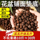大海邊 陶粒養(yǎng)花專用墊底多肉花盆鋪面園藝魚缸水培回填輕質(zhì)大顆陶粒 中號【1.0-1.5cm】 買30斤+20斤發(fā)50斤【約100升】