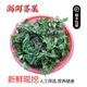 獨愛(ài)現挖新鮮薺菜 種植薺菜新鮮現挖野菜薺菜3斤
