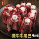 至貢 國產(chǎn)農家現宰黃牛牛尾巴原切尾骨生鮮速凍帶骨牛肉 牛   尾1000克*2袋
