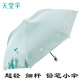 天堂傘超輕細(xì)桿迷你防曬防晴雨兩用傘便攜鉛筆傘小把遮陽(yáng)傘 綠色