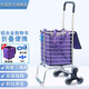 杰適折疊鋁合金購物車(chē)買(mǎi)菜車(chē)便攜爬樓小拖車(chē)手拉車(chē)老人家用便攜小推車(chē) 6輪普通款裸車(chē)+紫色禮包