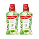 高露潔（Colgate） 高露潔貝齒清新茶茉莉綠茶健漱口水500ml 防蛀減少細菌滋生 茉莉綠茶500ml*2瓶
