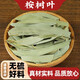 北京同仁堂桉樹葉 中藥材 密袋鼠  大桉葉洗臉 洗澡 尤加利葉 500克包郵 桉樹葉500克