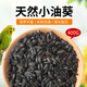 花卷寶寶鸚鵡瓜子飼料鳥食油葵小瓜子珍珠糧食牡丹玄風(fēng)鳥糧黑珍珠倉鼠零食 油葵400g