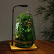 創(chuàng)意室內(nèi)桌面微縮景觀小森林生態(tài)瓶悶養(yǎng)綠植流水養(yǎng)魚(yú)螃蟹造景禮物 大號(hào)山間瀑布+植物燈
