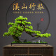 樸記  迎客松假山石盆景擺件客廳玄關(guān)博古架酒柜電視柜創(chuàng  )意枯山水造景禪意茶室新中式桌面軟裝飾品 溪山行旅-迎客松款