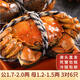 【活蟹】水淼鮮 洪湖大閘蟹鮮活螃蟹生鮮現(xiàn)貨海鮮水產(chǎn)年貨禮品 公1.7-2.0兩 母1.2-1.5兩 3對(duì)6只