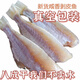 扒皮魚(yú)干500g剝皮魚(yú)干批發(fā)目魚(yú)肉馬面魚(yú)海魚(yú)風(fēng)干咸魚(yú)干耗兒魚(yú)干貨 【大號500g】1斤約8-10條