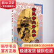 董氏奇穴針灸學(xué) 楊維杰 著 方劑學(xué) 針灸推拿 中醫(yī)古籍出版社 9787515213828 新華書店正版書籍包郵