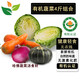 有機(jī)蔬菜4斤裝 新鮮蔬菜有機(jī)認(rèn)證無(wú)農(nóng)殘哈佛蔬菜湯食材匯健康輕食 哈佛菜湯(南瓜+洋蔥+甘藍(lán)+胡蘿卜 4斤裝
