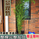 僮喲濃不修剪景觀竹矮化金竹綠竹紫竹苗四季青觀賞竹室內(nèi)盆栽竹子苗庭院 不修剪景觀金竹：2棵 【帶梢頭 帶土球】 不含盆