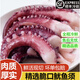 福茹洲新鮮大魷魚(yú)須脆口章魚(yú)足鮮凍海鮮火鍋食材
