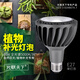 光聯(lián)天下led全光譜植物補光燈自然光塊根龍舌蘭月季蘭花生長(cháng)燈魚(yú)缸爆藻燈 30W【全光譜5000K】36°植物補光