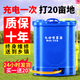 銘盼電動噴霧器農(nóng)用打藥機背負式噴霧機鋰電池噴藥機打農(nóng)藥機果樹園林 18升定速(單開關)8安鉛電標配