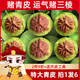 青皮文玩核桃把玩核桃官帽四座樓磨盤(pán)蛤蟆頭核桃精品寶寶核桃文玩 發(fā)4個(gè)】官帽四座樓50-54mm送工具