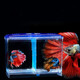 亞峰（yafeng）隔離盒孵化盒觀賞魚孔雀魚斗魚缸外獨立飼養(yǎng)多功能繁殖亞克力懸浮 3合1 孵化/斗魚盒