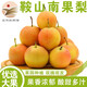 鮮姿遼寧南國(guó)梨南果梨香水梨醉梨酒香梨禮盒東北特產(chǎn)水果 4.5-4.8斤中果約30枚家庭裝