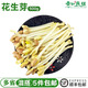 新鮮花生芽長壽芽苗蔬菜 農(nóng)家自種 500g花生苗農(nóng)家火鍋食材 500g