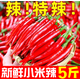 卉雙新鮮小米椒辣椒現(xiàn)摘薄皮紅辣椒朝天椒指天椒農(nóng)家自種小米辣整箱 小米椒 帶箱1斤 精選