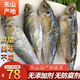 福建東山島黃尾巴浪魚干500g淡曬海魚即食小魚干海鮮特產(chǎn)水產(chǎn)干貨 2斤裝