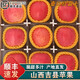 桃西村吉縣蘋(píng)果【順豐】山西臨汾特產(chǎn)壺口冰糖心紅富士新鮮水果禮盒裝 9斤 中大果【單果75mm+】彩箱