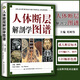 正版 人體斷層解剖學(xué)圖譜(精) CT人體斷層局部解剖影像學(xué) 人體解剖學(xué)斷面解剖學(xué)圖譜 劉樹偉主編 山 人體斷層解剖學(xué)圖譜