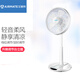 艾美特（AIRMATE） 12吋臺立扇家用宿舍升降臺式落地扇搖頭大風(fēng)力定時(shí)電風(fēng)扇白色S30193HT2 白色機械款S30193HT2