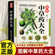 彩圖全圖全解中草藥大全 中藥材識(shí)別圖鑒書籍 中醫(yī)入門中草藥大全書籍藥材植物彩圖中藥大全書中醫(yī)大全書中草藥圖鑒書現(xiàn)貨發(fā)正版