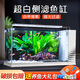 爬將軍魚(yú)缸客廳新款側濾家庭用超白生態(tài)桌面玻璃懶人養水草金魚(yú)斗魚(yú) 60缸【真水草套餐】