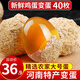 果鮮島河南特產(chǎn)雞蛋變蛋 農家手工自制松花蛋皮蛋糖心雞蛋 變蛋40枚2000g