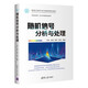 隨機信號分析與處理/面向新工科的電工電子信息基礎課程系列教材