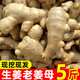 鮮來(lái)拉山東黃姜塊大姜黃姜塊新鮮月子姜母帶泥姜非云南小黃姜5斤 2500g