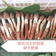 2025新鮮野生雞樅菌新鮮荔枝菌夏至菌三塔菌火把雞樅云南雞樅菌 精品不開傘【野生雞樅菌】500克