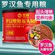 寵翰羅漢魚(yú)飼料壽星頭高蛋白小顆粒專(zhuān)用起頭爆頭增色熱帶魚(yú)鸚鵡魚(yú)糧食 羅漢魚(yú)飼料*1罐