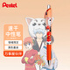 派通（Pentel）0.5mm速干按動(dòng)式中性筆 銀魂限定款 萬事屋伙伴 黑色 BLN75
