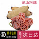 沃江源湖北新鮮粉藕洪湖粉藕煲湯蓮藕粉藕藕蓮菜現(xiàn)挖現(xiàn)發(fā) 5斤裝