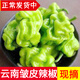 辰實(shí)【現(xiàn)摘】云南新鮮皺皮辣椒 虎皮辣椒青辣椒辣味清脆新鮮蔬菜圓椒 2斤