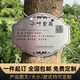 鯨倫不銹鋼樹牌防水樹木標識牌園林植物綠化樹木介紹懸掛牌 支持定制 不銹鋼樹牌 10*15cm