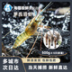 海蘊極鮮【活鮮】鮮活羅氏蝦 新鮮羅氏沼蝦淡水白腳蝦金錢(qián)蝦燒烤 蝦皇 500g(凈重)  4-5只左右