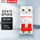德力西空氣開(kāi)關(guān)DZ47s 63A 2P DZ47SN2C63空開(kāi)斷路器