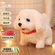 兒童玩具毛絨狗狗走路會(huì )叫嬰兒仿真電動(dòng)小狗男孩萌寵物電子狗女孩 優(yōu)質(zhì)升級電動(dòng)毛絨狗狗[小比熊] 豪華:充電套裝+牽引繩+鈴鐺
