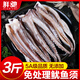 鮮馳新鮮免處理魷魚須 魷魚爪魷魚頭二本足生鮮火鍋燒烤食材海鮮水產(chǎn) 【嚴選品質(zhì)】去牙去眼 3斤(凈重)