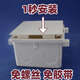 裝修86型pvc線盒保護蓋免螺絲卡扣蓋板開關底盒暗盒封堵裝飾擋板 86暗盒通用自扣緊無需螺絲 紅色 100只