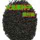 紅皮火龍果姿秀水果種子白火龍果籽青龍果紅龍果水果種子盆栽盆景 種子 紅皮紅肉火龍果種子2000粒