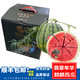 兄盟鮮果正宗翡翠蒂西瓜海南麒麟瓜6-9斤新鮮紅壤西瓜皮薄脆甜多汁 1個裝6-7斤
