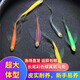 蝶翼斑馬魚長尾長鰭觀賞魚冷水小型淡水金魚活體好養(yǎng)淡水觀賞魚 大號(hào)蝶翼隨機(jī)3.5-4厘米10+2備損